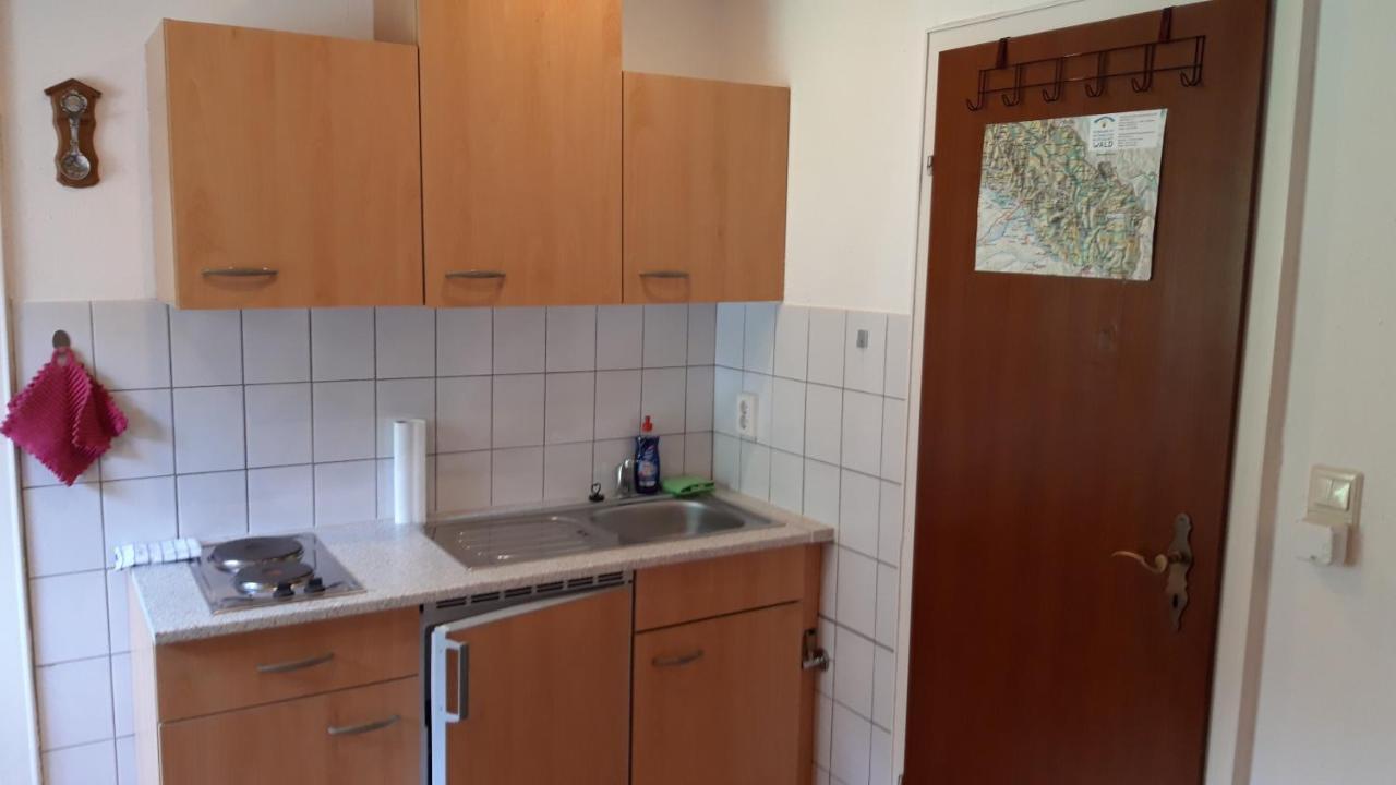 Gasthaus Zehrermuehle Schönberg Buitenkant foto