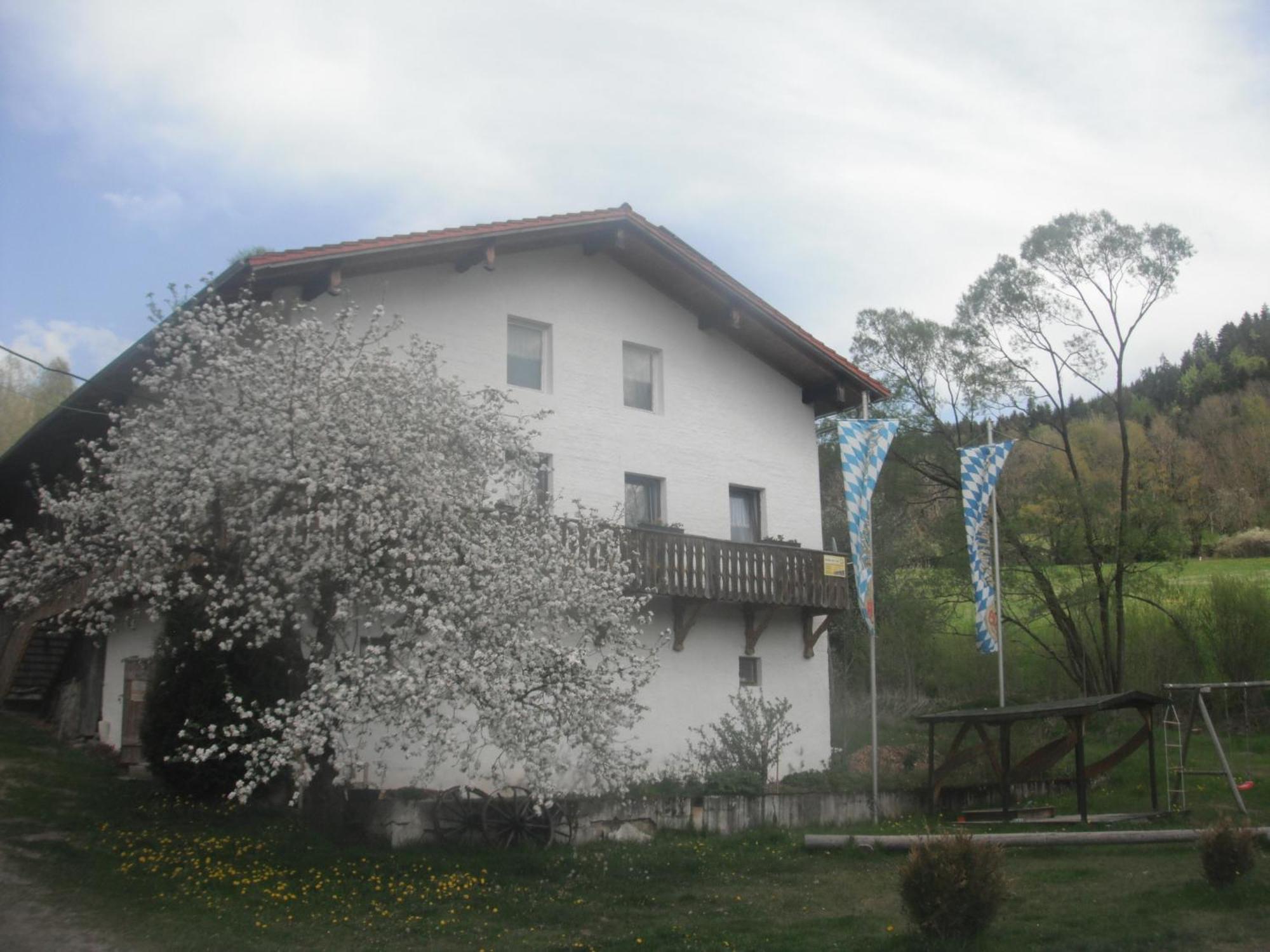 Gasthaus Zehrermuehle Schönberg Buitenkant foto