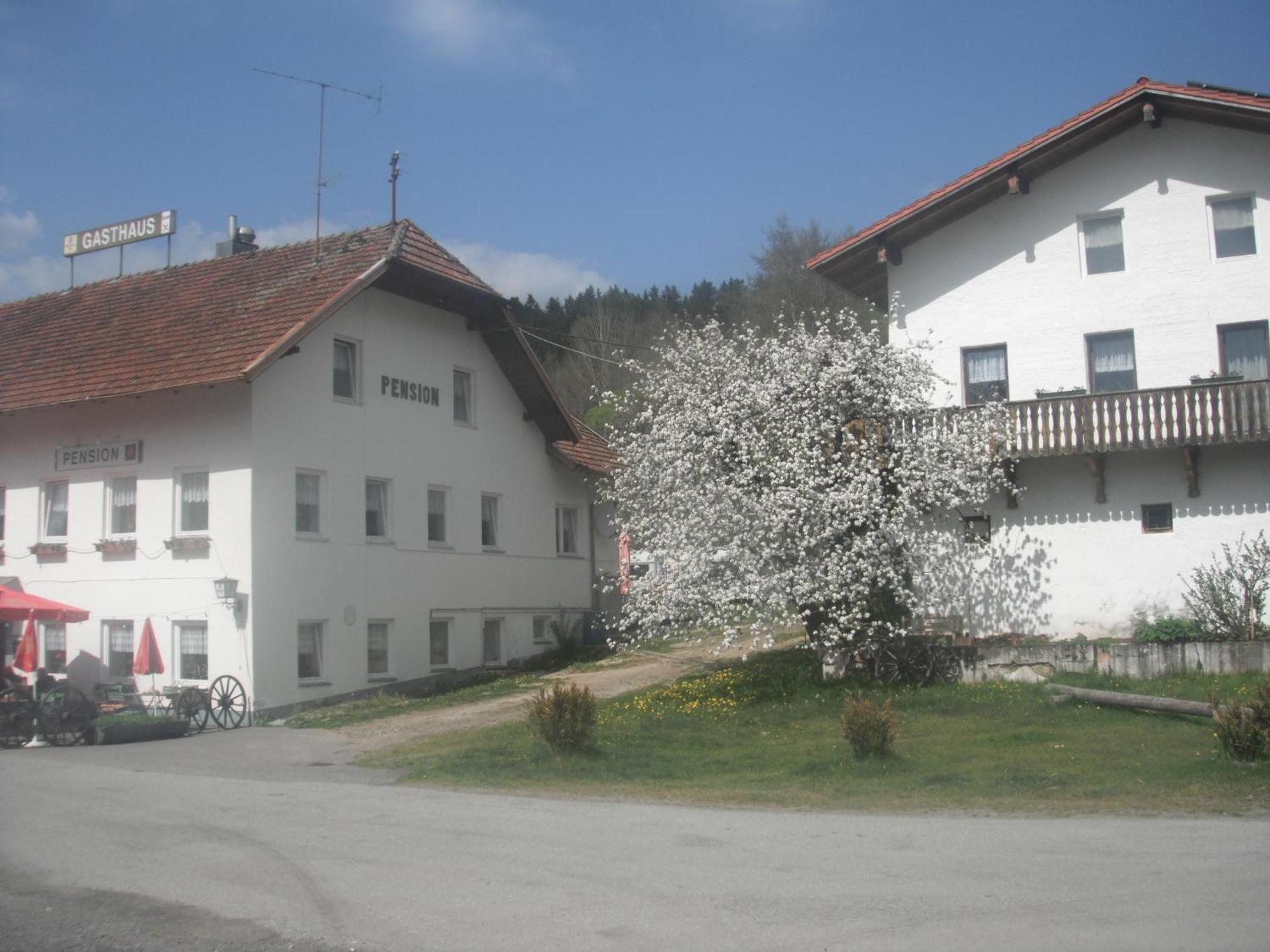Gasthaus Zehrermuehle Schönberg Buitenkant foto